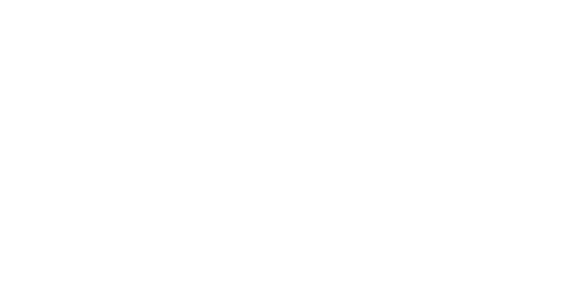 Logo-Paperize-bianco